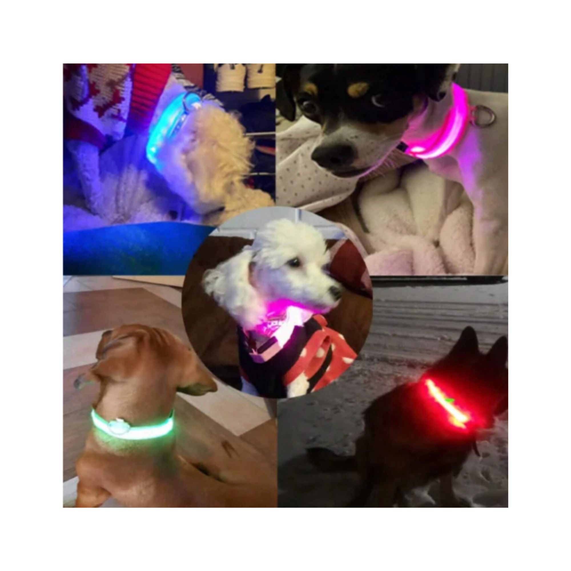 Collar Luminoso Led Recargable - Imagen 3