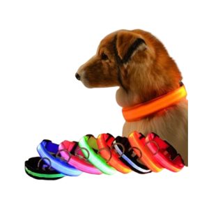 Collar Luminoso Led Recargable